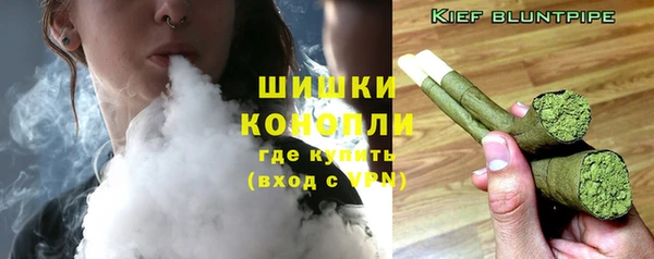 сатива Майский