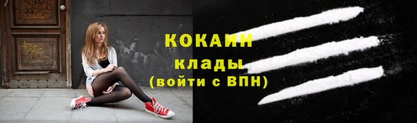 мдпв Магас