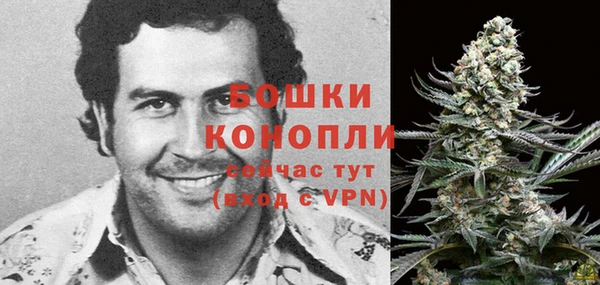 шишки Магадан
