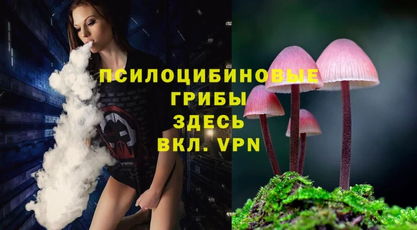 мдпв Магас