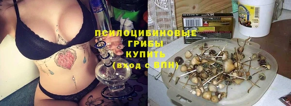 сатива Майский
