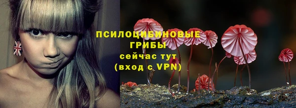 сатива Майский