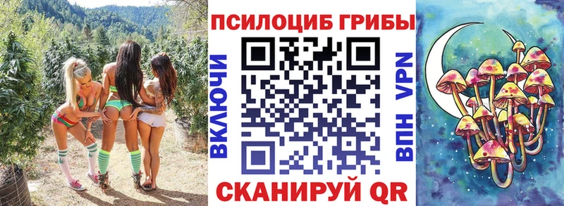 Галлюциногенные грибы мицелий Усолье